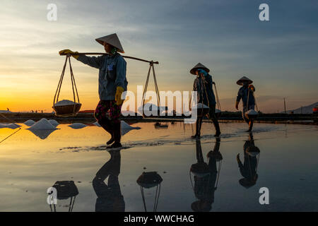 Salz Ernte Phanrang Vietnam Stockfoto