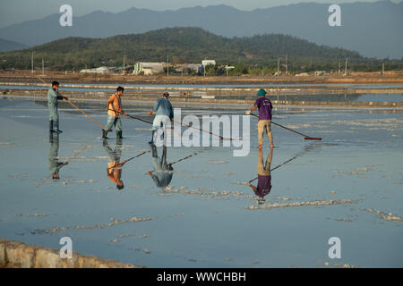 Salz Ernte Phanrang Vietnam Stockfoto