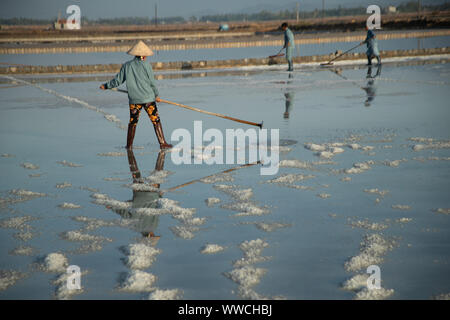 Salz Ernte Phanrang Vietnam Stockfoto