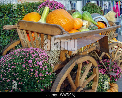 Vintage Holz- Warenkorb mit unterschiedlichen Kürbisse geladen. Stockfoto