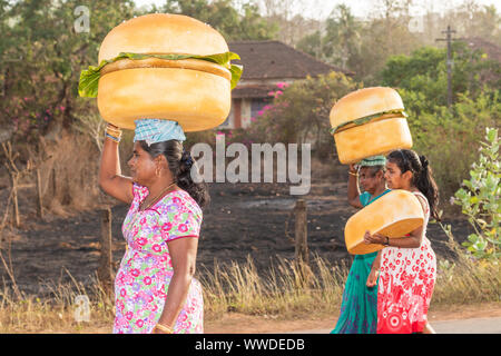 Karneval auf den Küstenstaat von Goa in Indien Stockfoto