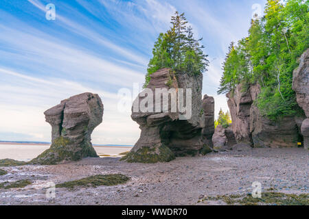 Flower Pot Formationen entlang der Bucht von Fundy in Hopewell Rocks Park, New Brunswick, Kanada Stockfoto