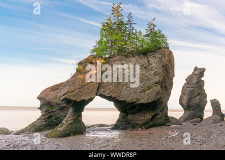 Flower Pot Formationen entlang der Bucht von Fundy in Hopewell Rocks Park, New Brunswick, Kanada Stockfoto