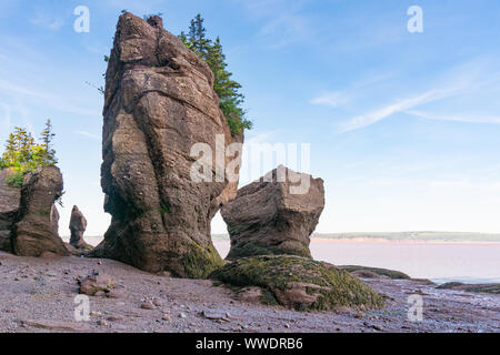 Flower Pot Formationen entlang der Bucht von Fundy in Hopewell Rocks Park, New Brunswick, Kanada Stockfoto