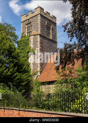 COLCHESTER, ESSEX - 11. AUGUST 2018: Colchester Natural History Museum (ehemalige Allerheiligen-Kirche) Stockfoto