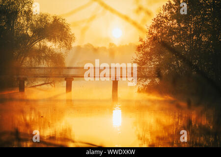 Foto von Fluss, Brücke, Bäume im Sonnenaufgang Stockfoto
