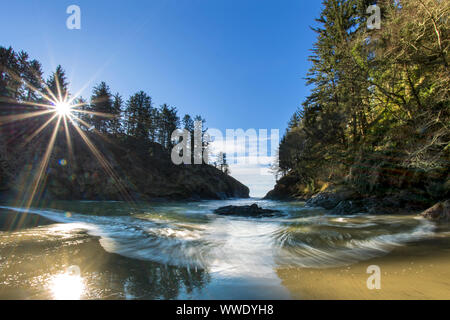 Dead Mans Cove, das Kap der Enttäuschung, Long Beach, Wa Stockfoto