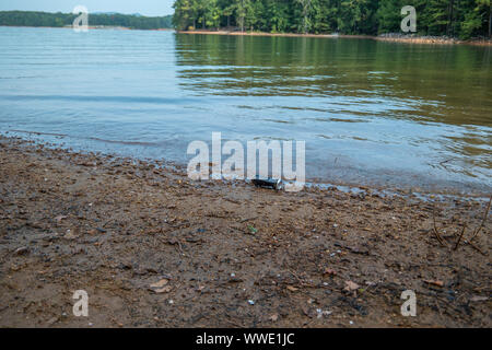 Eine weggeworfene verwendet Getränkedose auf dem Strand in der Nähe der Wasser an der See im Sommer gedumpten Belastung der Umwelt Stockfoto