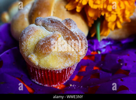 Gourmet Muffin für Tag der Toten (Pan de Muerto) Stockfoto