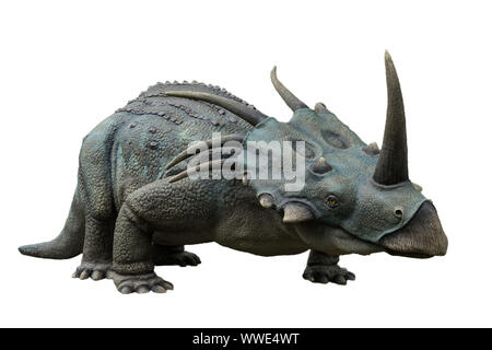 Portrait von styracosaurus auf weißem Hintergrund. styracosaurus ist ein Pflanzenfresser Dinosaurier der Kreidezeit gelebt Stockfoto