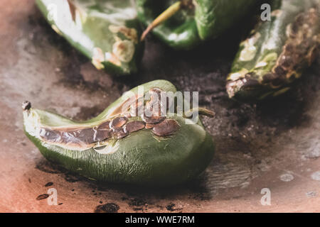 Die Röstung Poblano Chili Peppers in Mexiko Stadt Stockfoto