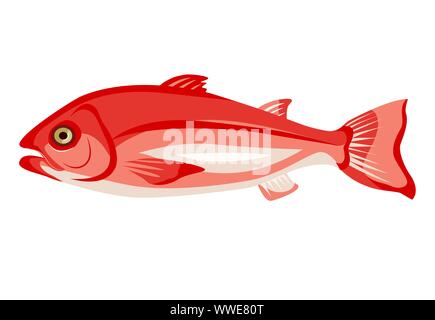 Raw Northern Red Snapper Symbol auf weißem Hintergrund, gesunde Ernährung, Frische ganze Fische, Vector Illustration. Stock Vektor