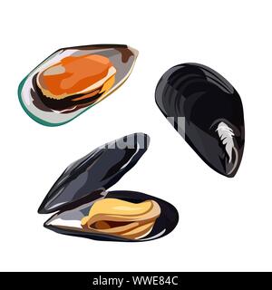 Rohe Muscheln in Schalen Symbol auf weißem Hintergrund, gesunde Ernährung, frische Meeresfrüchte, Vector Illustration. Stock Vektor