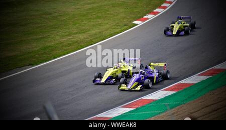 W-Serie - Brands Hatch 2019 Stockfoto