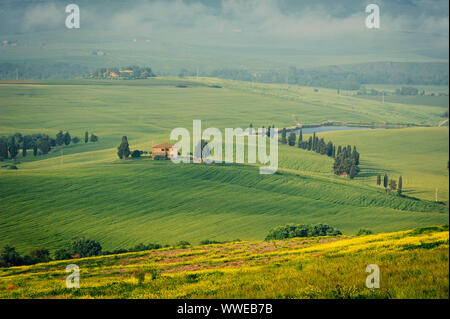 Typische Toskana Landschaft, Val Dorcia in der Morgendämmerung, Italien Stockfoto