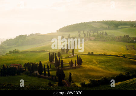 Curvy malerischen Straße in der Toskana, umgeben von Zypressen, Toskana, Italien Morgen Nebel in die Landschaft. Stockfoto