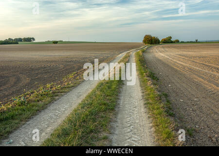 Unbefestigte Straße durch die gepflügten Feldern, Horizon und Sky Stockfoto