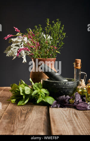 Grau Mörser in der Nähe von Clay Vase mit frischen Kräutern auf Holztisch isoliert auf Schwarz Stockfoto