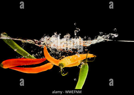 Bunte Chilischoten fallen tief im Wasser mit Splash isoliert auf Schwarz Stockfoto