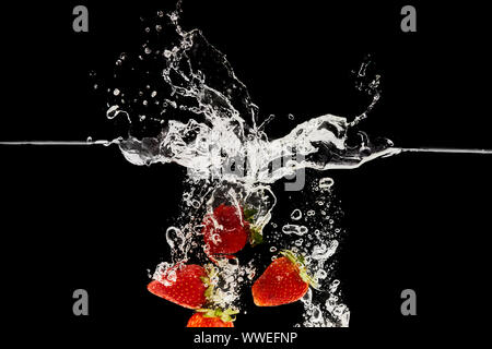 Rote reife Erdbeeren der in Wasser mit Splash isoliert auf Schwarz Stockfoto