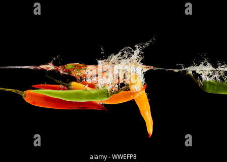 Bunte Chilischoten fallen tief im Wasser mit Splash isoliert auf Schwarz Stockfoto