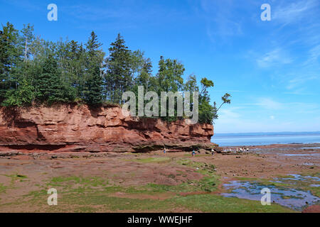 Die Bucht von Fundy, Nova Scotia, Burntcoat Kopf Provincial Park, der über den Weltrekord Gezeiten. Flower Pot Insel und Meeresboden bei Ebbe ausgesetzt Stockfoto