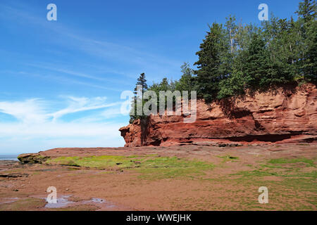 Die Bucht von Fundy, Nova Scotia, Burntcoat Kopf Provincial Park, der über den Weltrekord Gezeiten. Flower Pot Insel und Meeresboden bei Ebbe ausgesetzt Stockfoto