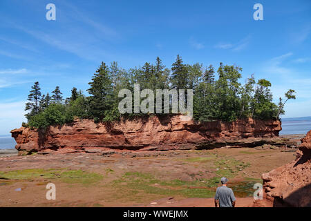 Die Bucht von Fundy, Nova Scotia, Burntcoat Kopf Provincial Park, der über den Weltrekord Gezeiten. Flower Pot Insel und Meeresboden bei Ebbe ausgesetzt Stockfoto