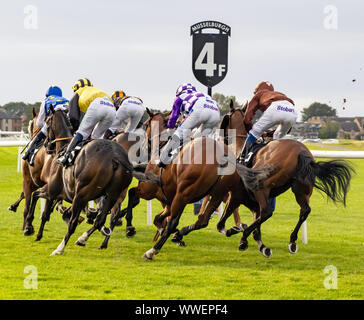 Pferde und Jockeys während eines Rennens auf der Musselburgh Racecourse, East, Lothian, Schottland, Großbritannien. Stockfoto