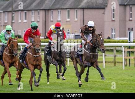 Ein Moment in der Pommery Champagner Edinburgh Cup Handicap bei Musselburgh - 14. September 2019. Stockfoto