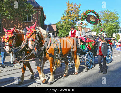 Stuttgart, Germany-September 30, 2018: Bierfest, Festzug mit Pferden Stockfoto