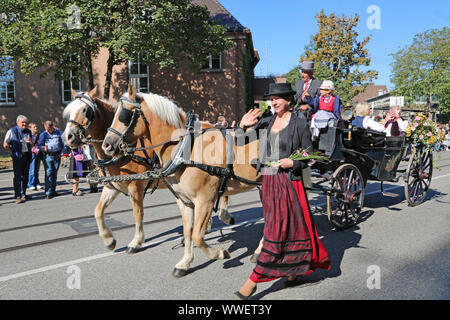 Stuttgart, Germany-September 30, 2018: Bierfest, Festzug mit Pferden Stockfoto