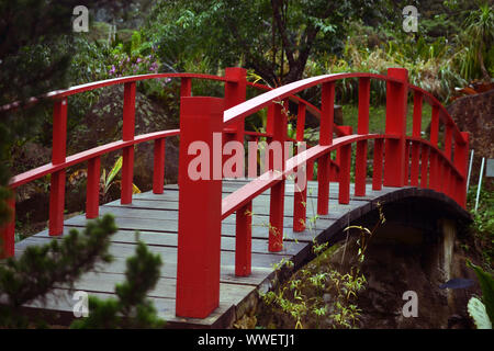 Traditionelle rote Brücke über den Teich im japanischen Garten. Stockfoto