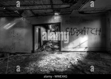 Graffiti an der Wand des verlassenen Kasernen auf Mare Island, einem stillgelegten Schiffswerft in Kalifornien. Stockfoto