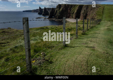 Duncansby Stacks, Felsnadeln südlich von Duncansby Head in der Nähe von John o' Groats, Caithness, Highland, Scottish Highlands, Schottland, Großbritannien Stockfoto