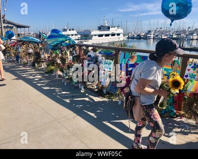 Santa Barbara, Kalifornien, USA. 14 Sep, 2019. Denkmal an der Santa Barbara Santa Barbara Hafen, während Mitglieder der Gemeinschaft und die Menschen aus der ganzen Grafschaft kommen Sie mit Dolphin Luftballons, Blumen und Liebe zu unterstützen. Credit: Amy Katz/ZUMA Draht/Alamy leben Nachrichten Stockfoto