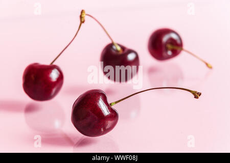 Eine Gruppe von vier reif Frische rote Kirschen auf einem rosa Spiegel Hintergrund. Stockfoto