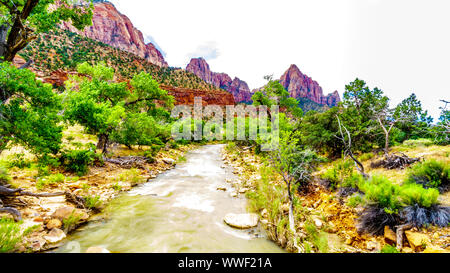 Massive Rot-, Rosa- und Cremefarbenen Sandsteinfelsen gesehen von der Pa'rus Trail entlang und über den Virgin River im Zion National Park, UT, USA folgt Stockfoto