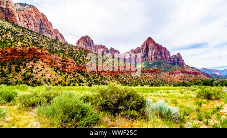 Der Wächter und die Klippen von Bridge Mountain gesehen von der Pa'rus Trail entlang und über den Virgin River im Zion National Park, Utah, USA folgt Stockfoto