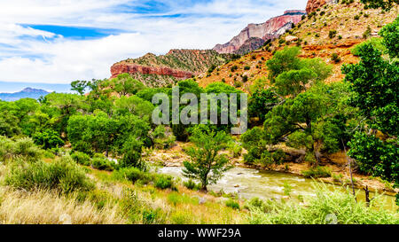 Massive Rot-, Rosa- und Cremefarbenen Sandsteinfelsen aus der Pa'rus Trail gesehen, wie es entlang und über den Virgin River im Zion National Park, UT, USA folgt Stockfoto