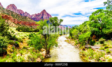 Massive Rot-, Rosa- und Cremefarbenen Sandsteinfelsen aus der Pa'rus Trail gesehen, wie es entlang und über den Virgin River im Zion National Park, UT, USA folgt Stockfoto