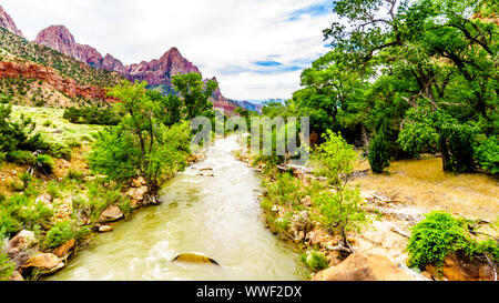 Massive Rot-, Rosa- und Cremefarbenen Sandsteinfelsen aus der Pa'rus Trail gesehen, wie es entlang und über den Virgin River im Zion National Park, UT, USA folgt Stockfoto