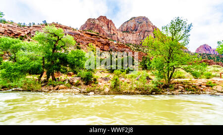 Massive Rot-, Rosa- und Cremefarbenen Sandsteinfelsen aus der Pa'rus Trail gesehen, wie es entlang und über den Virgin River im Zion National Park, UT, USA folgt Stockfoto