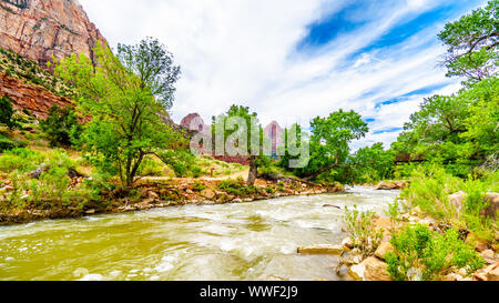 Massive Rot-, Rosa- und Cremefarbenen Sandsteinfelsen aus der Pa'rus Trail gesehen, wie es entlang und über den Virgin River im Zion National Park, UT, USA folgt Stockfoto