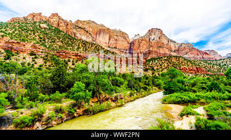 Massive Rot-, Rosa- und Cremefarbenen Sandsteinfelsen aus der Pa'rus Trail gesehen, wie es entlang und über den Virgin River im Zion National Park, UT, USA folgt Stockfoto