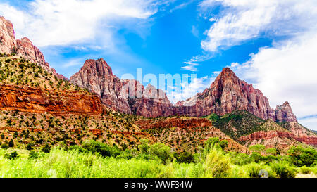 Der Wächter Berg gesehen von der Pa'rus Trail, schlängelt sich entlang und über den Virgin River im Zion National Park, Utah, USA Stockfoto