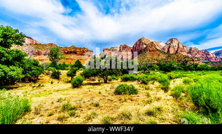 Der Westen Tempel, Sonnenuhr und Altar des Opfers Berge von der Pa'rus Trail gesehen, dass entlang und über den Virgin River im Zion Nat.Park, UT folgt Stockfoto