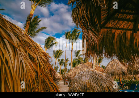 Sonnenuntergang Licht auf Punta Cana Strand mit Liegestühlen, Sonnenschirmen und Palmen. Landschaft von Paradise Tropical Island Beach mit perfekter Blau sonnig Stockfoto