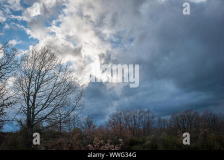 Spanien Himmel mit Gewitterwolken Stockfoto