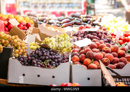 Sortiment an frischen Früchten auf Zähler am Markt Stockfoto
